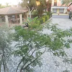 Assimakis Finikounta